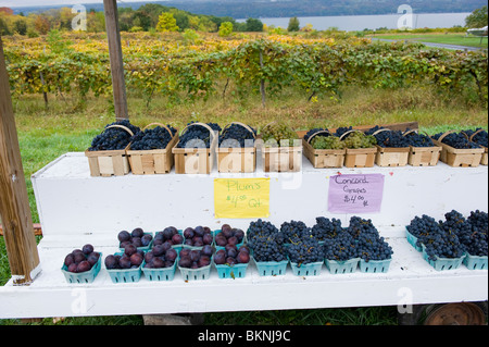 Le uve per la vendita in strada di stand nella regione dei Laghi Finger New York Foto Stock