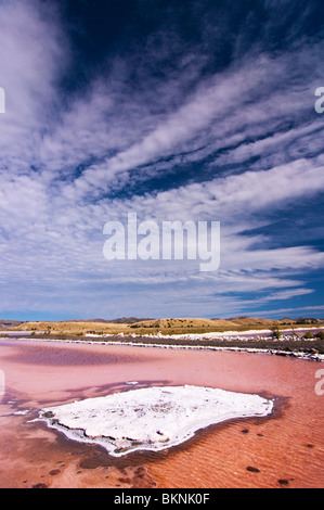 Stagni di cristallizzazione al Lago Grassmere saline, Marlborough, Nuova Zelanda. Foto Stock