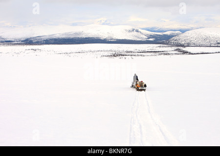 Il Sami annuale di primavera di migrazione delle renne da Stubba nr Gällivare in Svezia attraverso le loro terre ancestrali in Lapponia Foto Stock