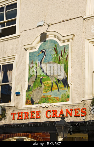 Primo piano di Tre Cranes pub segno St Sampson's Square York North Yorkshire Inghilterra Regno Unito GB Gran Bretagna Foto Stock