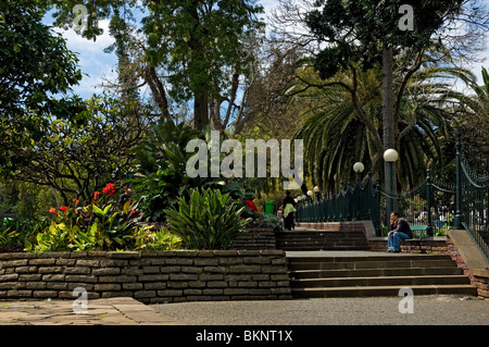 Primavera nel parco pubblico Parque de Santa Catarina Funchal Madeira Portogallo Europa dell'UE Foto Stock
