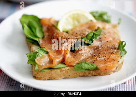 Preparato di fresco indurito sani salmone affumicato e rafano Sandwich Aperto servito su una piastra con n. di persone Foto Stock