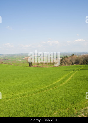 Campi aperti e terreni agricoli con colture vicino Pradinas Aveyron Midi-Pirenei Francia Foto Stock