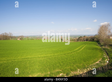 Campi aperti e terreni agricoli con colture vicino Pradinas Aveyron Midi-Pirenei Francia Foto Stock