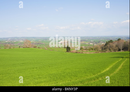 Campi aperti e terreni agricoli con colture vicino Pradinas Aveyron Midi-Pirenei Francia Foto Stock