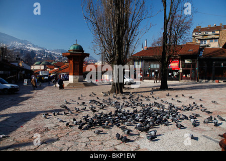 I PICCIONI A FONTANA SEBILJ SARAJEVO IN BOSNIA OLD TOWN Sarajevo in Bosnia 16 Marzo 2010 Foto Stock