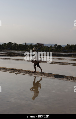 Un uomo porta un pesante carico di sale su un sale agriturismo vicino a Kampot, Cambogia Foto Stock