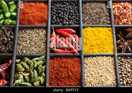 assortito di spezie zenzero, semi di finocchio, timo essiccato, foglie di  salvia, aglio, anice stellato, curry in polvere, peperoncino e fieno greco  su fondo di cemento. 8377098 Stock Photo su Vecteezy