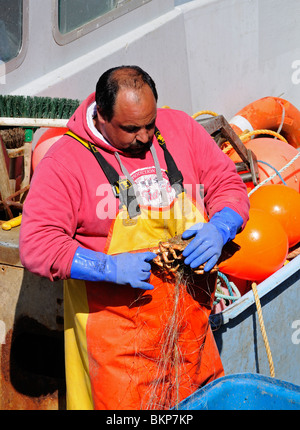 Un pescatore di mare a st.Ives in Cornovaglia, Regno Unito Foto Stock