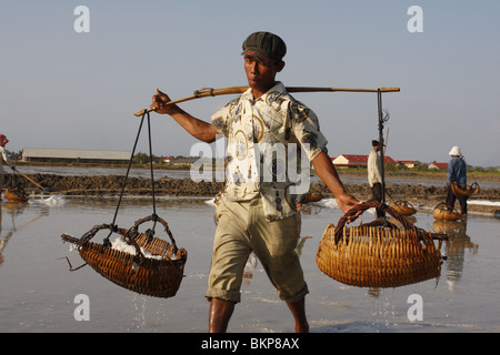 Un uomo porta un pesante carico di sale su un sale agriturismo vicino a Kampot, Cambogia Foto Stock