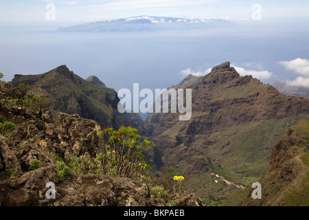 Pico Verde (1.318 m), Blick auf La Gomera und Masca Foto Stock