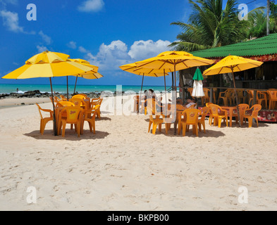 Ristorante sulla spiaggia di Pipa spiaggia città del Brasile Foto Stock