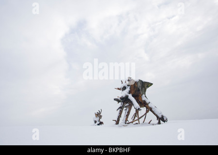 Gekapte oude dennenvoet in stuifzandgebied de il polline in de sneeuw nel Nationaal park De Hoge Veluwe, pino radici nella zona driftsand de il polline sulla neve nel Parco Nazionale di Hoge Veluwe Foto Stock