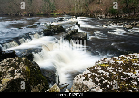 Forza Redmire sul Fiume Ure, Redmire, Wensleydale, Yorkshire Dales National Park, Regno Unito Foto Stock