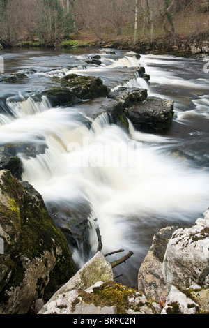 Forza Redmire sul Fiume Ure, Redmire, Wensleydale, Yorkshire Dales National Park, Regno Unito Foto Stock