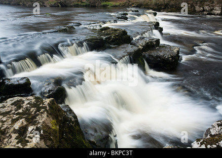 Forza Redmire sul Fiume Ure, Redmire, Wensleydale, Yorkshire Dales National Park, Regno Unito Foto Stock