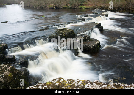 Forza Redmire sul Fiume Ure, Redmire, Wensleydale, Yorkshire Dales National Park, Regno Unito Foto Stock