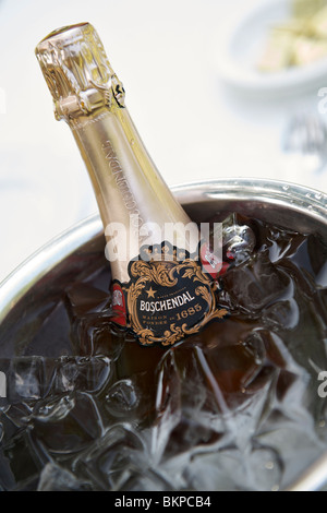 Bottiglia di Boschendal vino spumante in un secchiello per il ghiaccio. Foto Stock