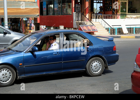 Scena di strada con il poliziotto alla guida di auto e un cane in backseat di auto Foto Stock