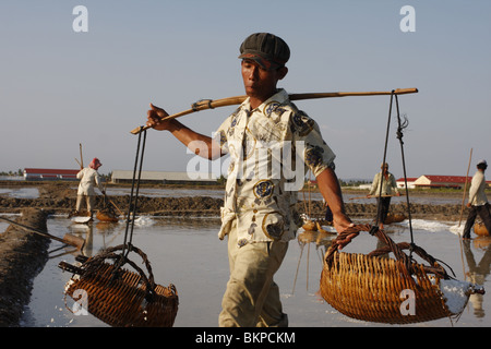 Un uomo porta un pesante carico di sale su un sale agriturismo vicino a Kampot, Cambogia Foto Stock