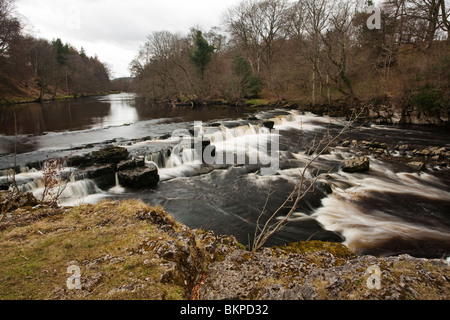 Forza Redmire sul Fiume Ure, Redmire, Wensleydale, Yorkshire Dales National Park, Regno Unito Foto Stock