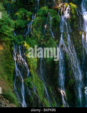 Burney Falls State Park, CA: Dettaglio di Burney Creek a 129ft Burney cade sul Plateau Modoc, la cascata di gamma Foto Stock