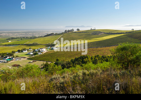 Vista attraverso i vigneti del distretto di Stellenbosch, Provincia del Capo Occidentale, Sud Africa. Foto Stock