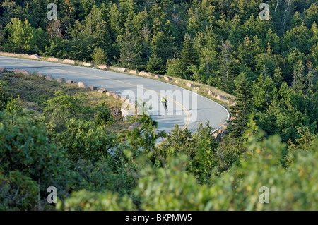 Fotografia di stock di un ciclista in discesa attraverso il bosco sul Vertice di Cadillac Road, Parco Nazionale di Acadia, Maine, Stati Uniti d'America. Foto Stock