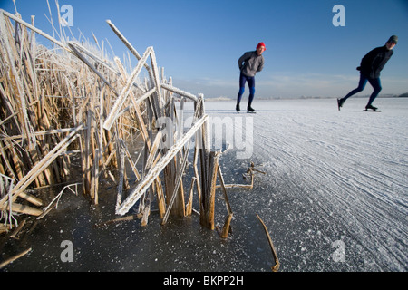 In Schaatsers de Oostvaardersplassen Foto Stock