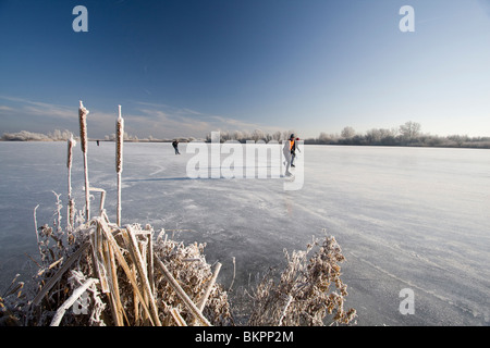 In Schaatsers de Oostvaardersplassen Foto Stock