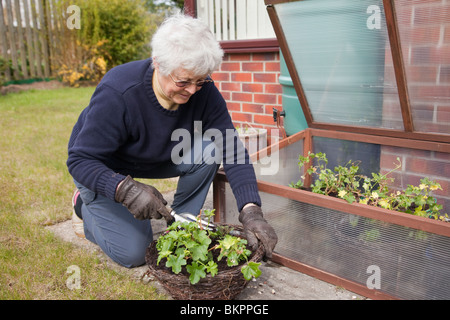 Immagine di stile di vita di una donna britannica pensionati anziani pensionati anziani signora OAP piantare piante in un cesto sospeso in un giardino domestico posteriore. Regno Unito Gran Bretagna Foto Stock