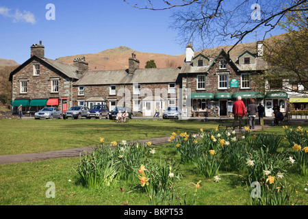 Piuttosto vecchio villaggio verde con narcisi fioritura in primavera nel Parco Nazionale del Distretto dei Laghi. Grasmere, Cumbria, Regno Unito, Gran Bretagna Foto Stock