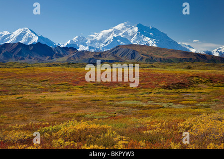 Vista panoramica del Mt.McKinley dal Pass erbosa con colori d'Autunno tundra in primo piano, il Parco Nazionale di Denali, Alaska Foto Stock