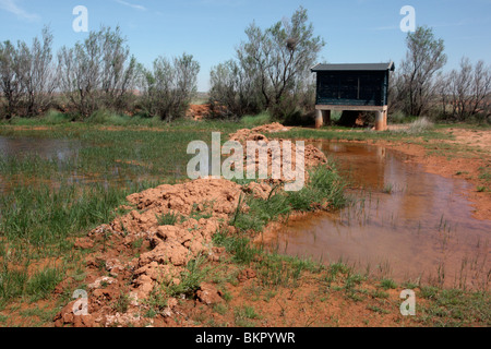 El Planeron riserva, nascondere in piscina, Belchite, Aragona, Spagna, Aprile 2010 Foto Stock