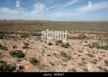 El Planeron riserva, Belchite, Aragona, Spagna, Aprile 2010 Foto Stock