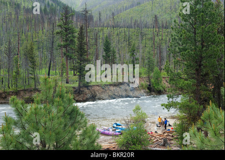 Forcella centrale del fiume di salmoni, Frank Church deserto, Stato di Idaho, U.S.A. Foto Stock