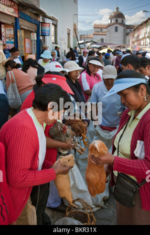 Ecuador, cavie al settimanale mercato Sangolqui,considerato una prelibatezza qui e Perù. Foto Stock