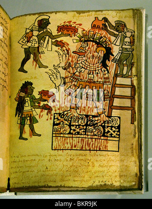 Codex Tro Cortesianus Maya di codices pre colombiana civiltà Maya scritto in geroglifico Maya 1250 1500 ANNUNCIO Foto Stock