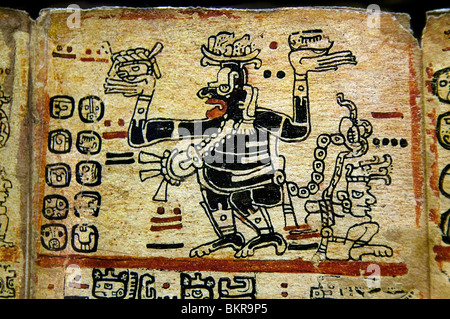 Codex Tro Cortesianus Maya di codices pre colombiana civiltà Maya scritto in geroglifico Maya 1250 1500 ANNUNCIO Foto Stock