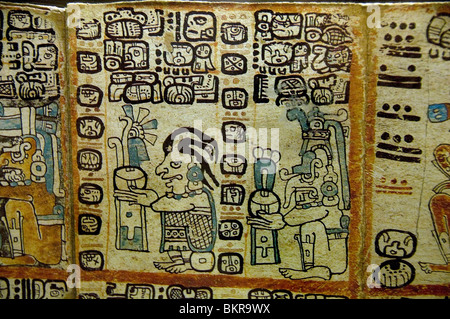 Codex Tro Cortesianus Maya di codices pre colombiana civiltà Maya scritto in geroglifico Maya 1250 1500 ANNUNCIO Foto Stock