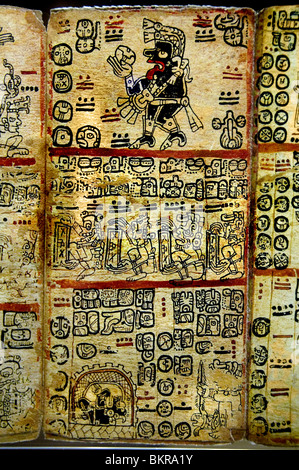 Codex Tro Cortesianus Maya di codices pre colombiana civiltà Maya scritto in geroglifico Maya 1250 1500 ANNUNCIO Foto Stock