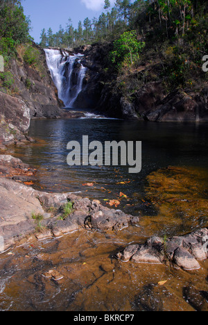 Rio Frio cascata, Mountain Pine Ridge riserva forestale, Cayo District, Maya di montagna, Belize, America Centrale Foto Stock