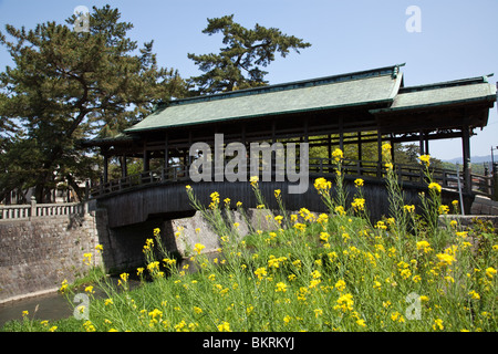 Il Sayabashi Bridge è un ponte sopra il fiume Kanakura in Kotohira Foto Stock