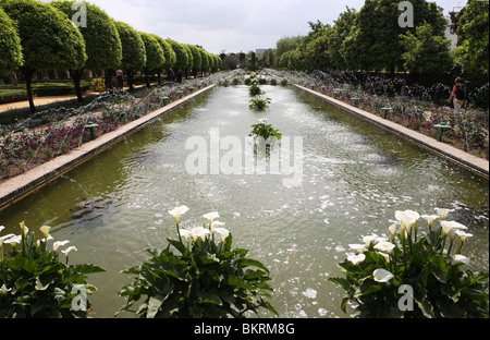 I giardini dell'Alcazar di Cordoba, in Andalusia, Spagna, Europa Foto Stock