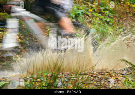 Mountain Biker schizzi attraverso una pozzanghera a Coed-y-Brenin trail center, Snowdonia, Galles Foto Stock