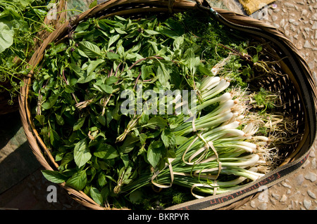 Un cesto di foglie di basilico fresco e cipolline in Luang Prabang Laos di mercato Foto Stock