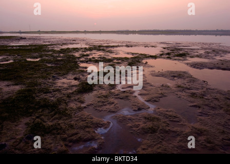 In Zonsopkomst Natuurontwikkelingsgebied de Noordwaard incontrato op de voorgrond een kwelstroompje; sunrise in area naturedevelopment Noordwaard Foto Stock