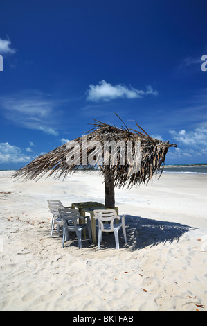 Spiaggia con palm ombrellone tavolo e sedie, Barra do Cunhau, Pipa, Brasile Foto Stock