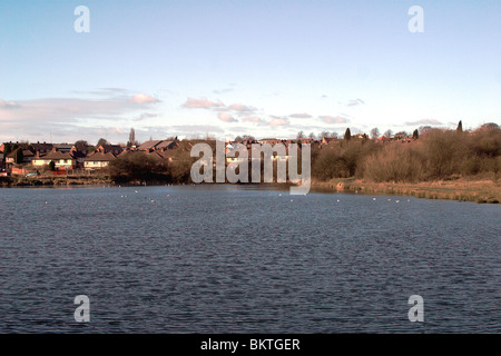 Piscine Fens Riserva Naturale. West Midlands. Regno Unito Foto Stock