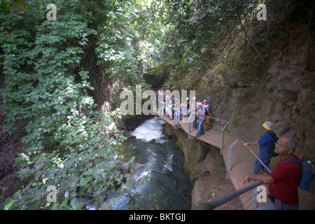 La Giordania sorgente del fiume Foto Stock